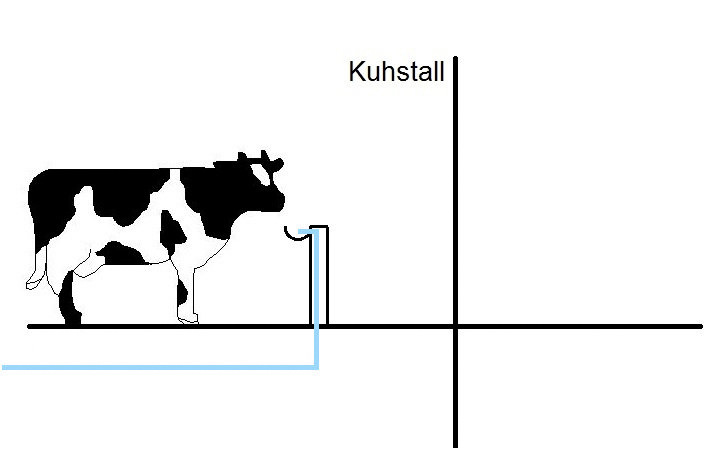 Tiertränke: Bakterien und Viren können sich in Leitungen auch ­gegen die Fließrichtung des Wassers ausbreiten (Rückverkeimung). ­Deshalb sind hier rein mechanisch wirkende Sicherungs­einrichtungen nicht zulässig.