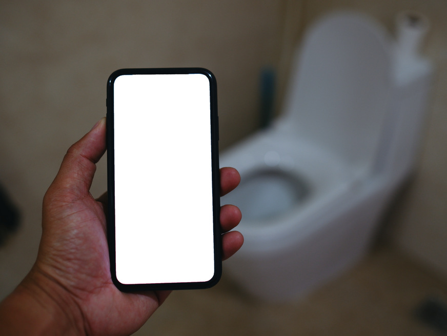 Viele Dusch-WCs verfügen sogar über eine Bluetooth-Schnittstelle und können mit dem Smartphone bedient werden.