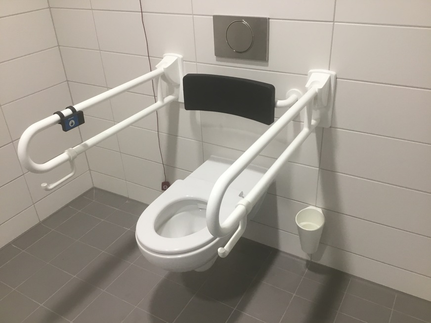 Verschiedene Accessoires wie WC-Papierhalter und WC-Bürstengarnituren aus dem Produktprogramm von Delabie ergänzen die Innenausstattung.