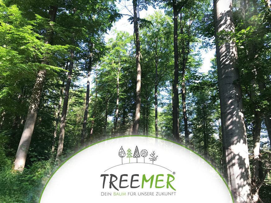 Mit seiner Jubiläumsaktion unterstützt Windhager ein Hilfsprojekt zur Aufforstung der Wälder in Deutschland. Insgesamt werden in Zusammenarbeit mit der Hilfsorganisation Treemer über 2000 neue Bäume gepflanzt.&nbsp;&nbsp;