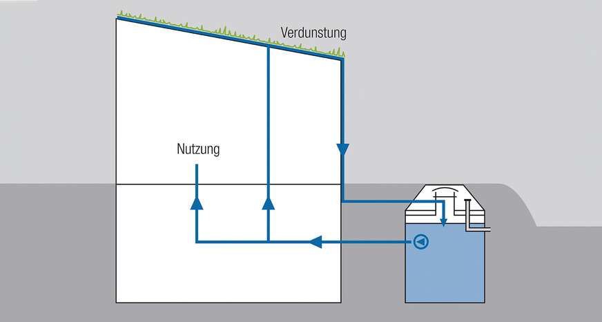 Droht ein Verteilungskampf um Regenwasser? Stadtplaner wollen Niederschläge vorrangig über Gründächer verdunsten, zugunsten der City-Kühlung und Luftbefeuchtung im Sommer. Investoren wollen es in Gebäuden nutzen, um Trinkwasser zu sparen und den Immobilienwert durch ein Nachhaltigkeitszertifikat hoch zu halten.