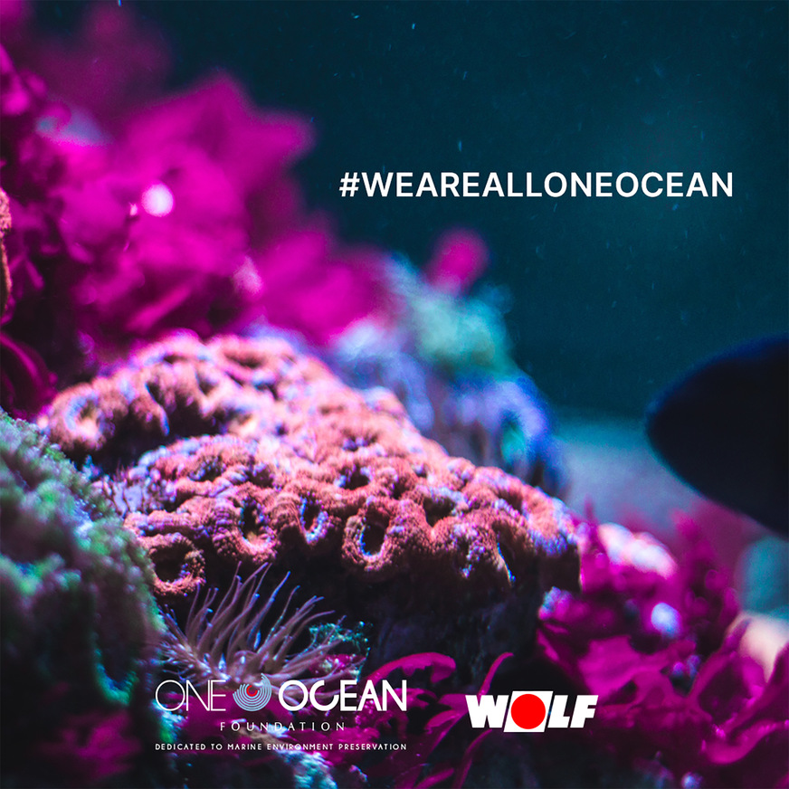Unter dem Motto „We are all one ocean“ engagiert sich Wolf zusammen mit starken Partnern für den Schutz der Weltmeere.