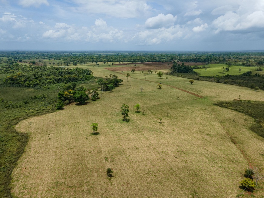 Das neue Aufforstungsprojekt in Costa Rica soll bis 2030 verbleibende CO₂-Emissionen der Vaillant Group zu einem Großteil ausgleichen.