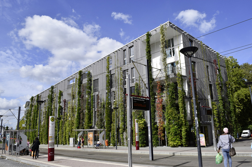 Bei der Fassadenbegrünung handelt es sich um den planmäßigen und mindestens kontrollierten Bewuchs geeigneter oder speziell vorgerichteter Fassaden mit Pflanzen.