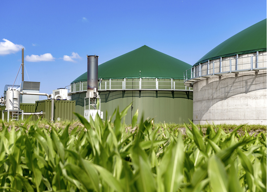In Biomasse wird Sonnenenergie ebenfalls gespeichert und kann im Winter abgerufen werden.