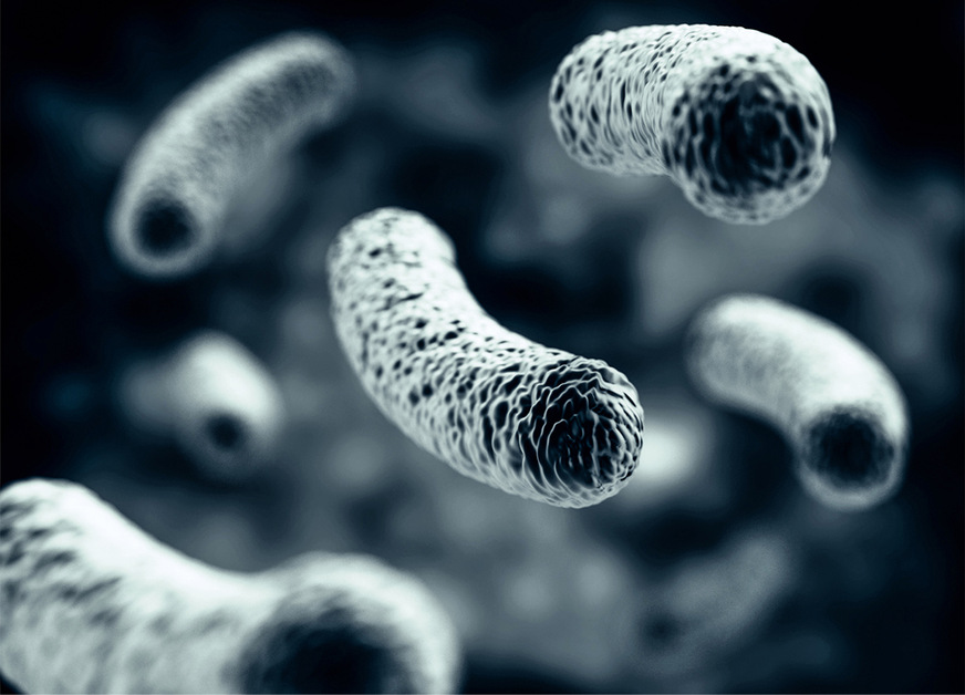 Die stabförmigen Legionellen gehören zu den größten Bedrohungen der Trinkwasserqualität in Hausinstallationen. Etwa in jedem sechsten Wohngebäude kommt es zu erhöhten Legionellenwerten, die entsprechende Maßnahmen erfordern.