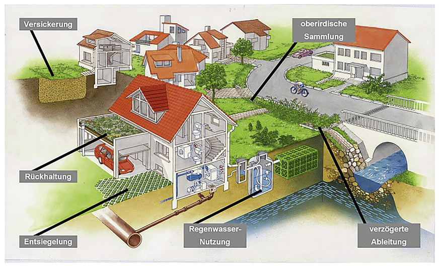 C Es gibt verschiedene Möglichkeiten für den naturnahen Umgang mit Regenwasser. Aufbau eines Gründaches nach dem Prinzip Schwamm.