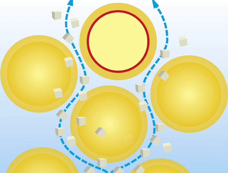 5 Kalkkristalle werden mit jeder Wasserentnahme aus der Kartusche im Innern der Kalkschutzanlage ausgespült und anschließend in der gesamten Trinkwasser-Installation und in den Trinkwasser­erwärmern verteilt.