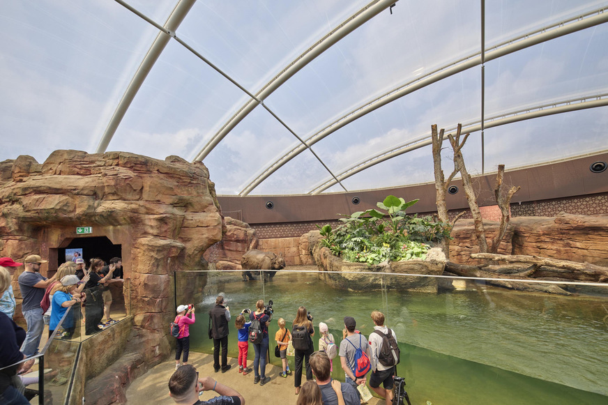 Leuchtturm für den Artenschutz: Die neue Nashorn-Pagode im Zoo Berlin mit seiner weltweit einmaligen Unterwasserglasscheibe.