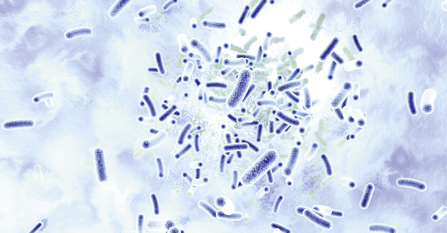 Neben der Aufenthaltszeit des Wassers in der Trinkwasser-Installation hat die Temperatur des kalten und des erwärmten Trinkwassers wesentlichen Einfluss auf die Vermehrung von Legionellen.