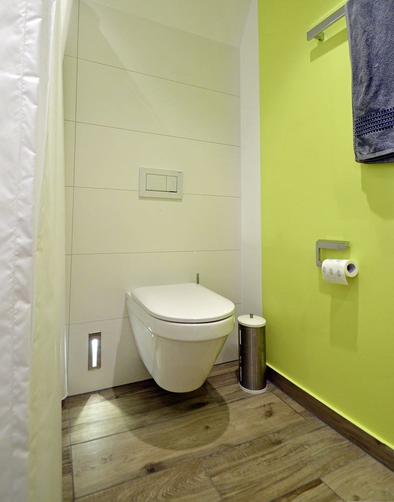 Einen fröhlichen Farbakzent setzt eine grün gestrichene Wand im Raum.