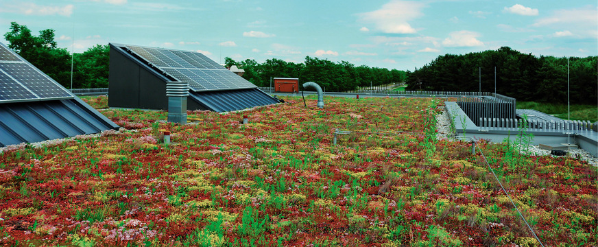 Für Dachbegrünungen, bei denen Intensivbegrünungen, einfache Intensivbegrünungen und Extensivbegrünungen ­unterschieden werden, gelten die Vorgaben der FLL-Dachbegrünungsrichtlinien.