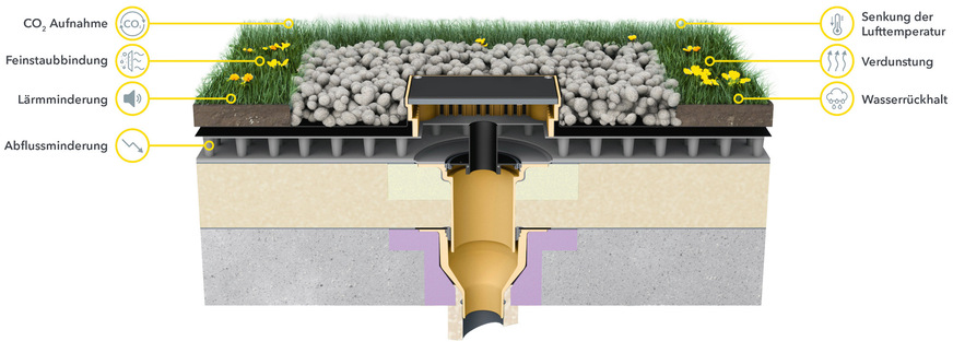 A Regenwasserrückhaltung und Entwässerung im Schneckentempo: Retention auf begrünten Flachdächern hat viele Vorteile.
