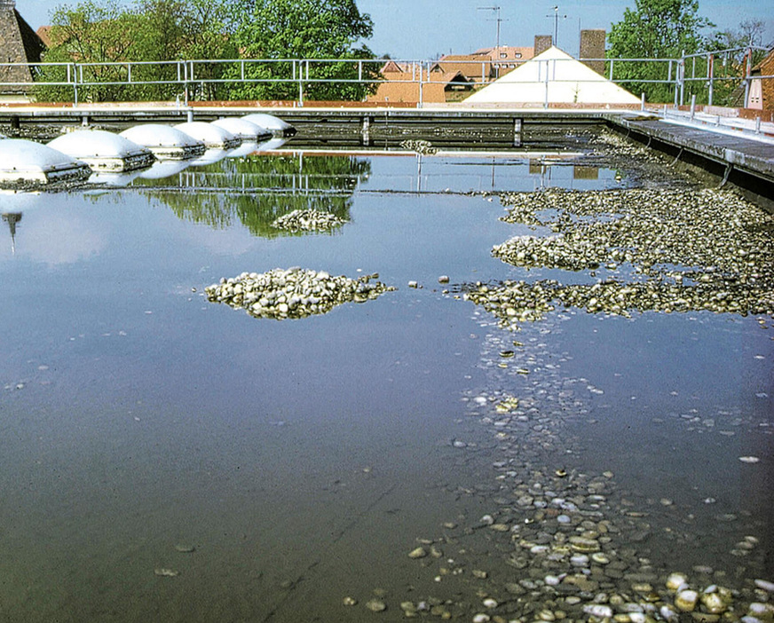 C Stauendes Wasser: ein unerwünschter Effekt, der die Statik sowie die Abdichtung belastet und die Vermoosung begünstigt.