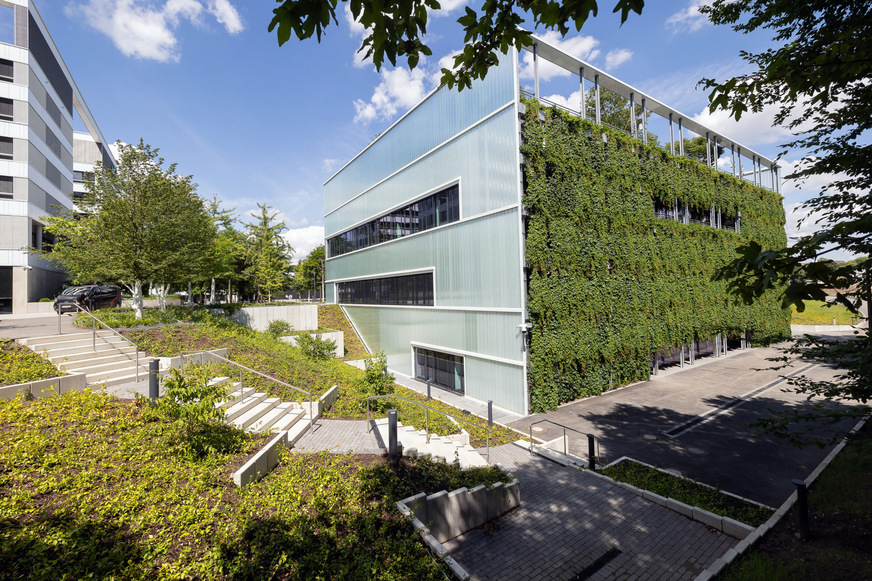 Die Südfassade des Wilo Networking Cubes ist als vertikale Pflanzwand angelegt.