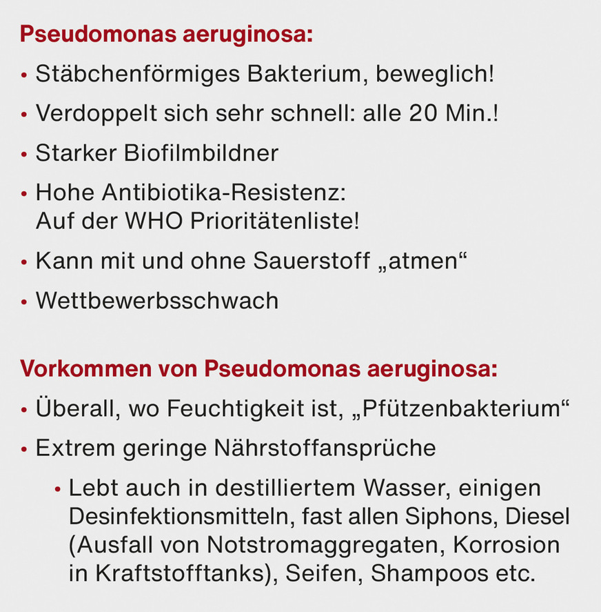 A Charakteristik des Bakteriums Pseudomonas aeruginosa.