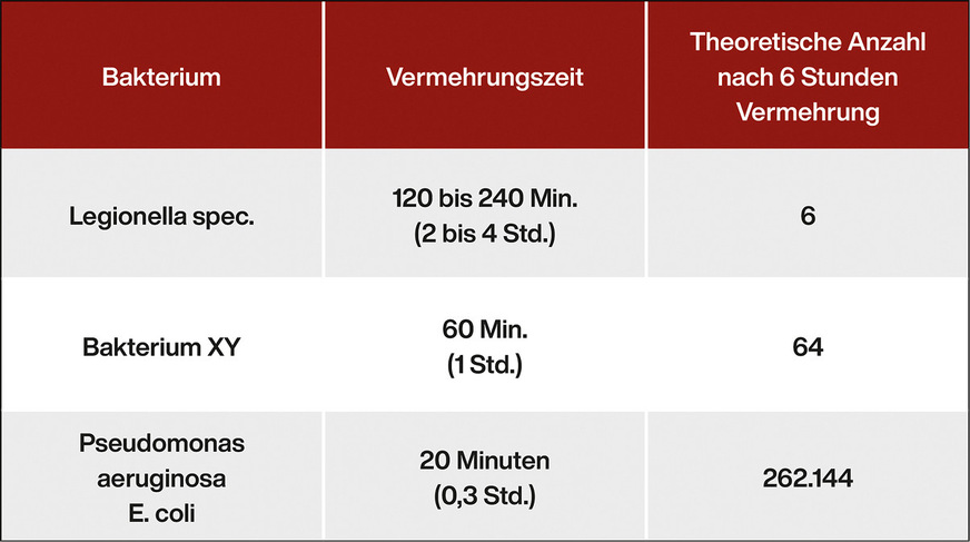 C Theoretisch mögliche Anzahl an Bakterien in Abhängigkeit von ihrer Vermehrungsgeschwindigkeit, jeweils nach sechs Stunden.