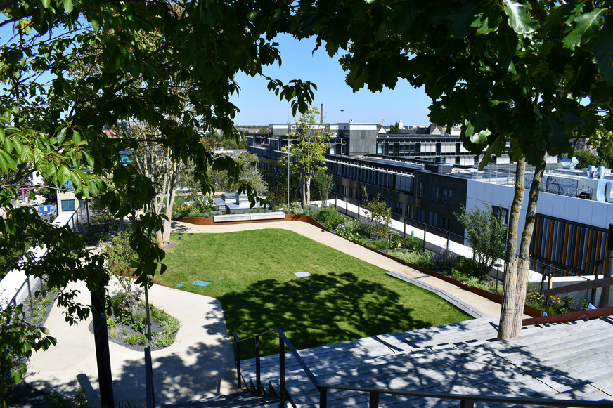 Der begehbare Dachgarten des AERA-Bürogebäudes in Berlin als gelungenes Beispiel für Überflutungs- und Hitzevorsorge.