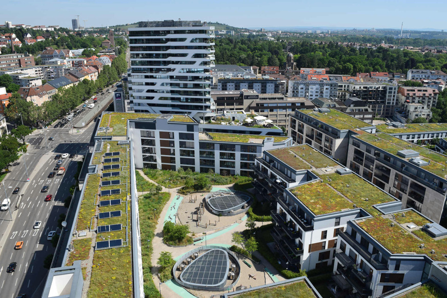 Bei einer flächendeckenden Begrünung wird nicht nur mehr Regenwasser zurückgehalten, sondern auch die kühlende Wirkung spürbar bis in den Straßenraum getragen.&nbsp;