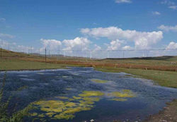 Der Windpark in Jimunai in der Region Xingjiang in China produziert mit 33 Windrädern jährlich rund 117.000 MWh Strom.  - © First Climate