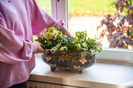 „Das Zuhause ist für mich der wichtigste Ort“, sagt Maria von Boch, „hier soll sich die ganze Familie wohlfühlen.“ Daher gestaltet sie ihr Zuhause mit vielen liebevollen Details und sorgt regelmäßig für frische Blumen. Arrangiert in hübschen Vasen oder einer alten Art déco-Schale vom Flohmarkt – natürlich von Villeroy & Boch.