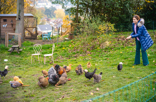 „Die Kinder haben sich Tiere gewünscht“, erklärt Maria von Boch, „und meinem Mann war wichtig, dass wir einen Nutzen davon haben.“ Die Wahl fiel daher auf Hühner und Ziegen. 