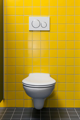 Die etwas größeren Kita-Kinder dürfen schon wie die Erwachsenen auf Wand-WCs. - © Geberit
