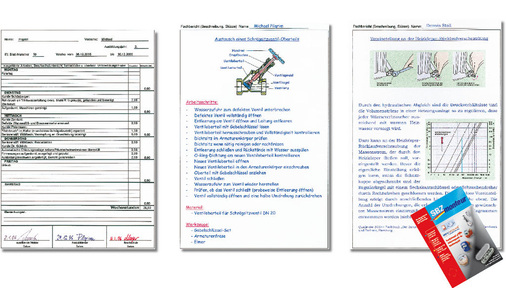 Fachberichte shk Fault