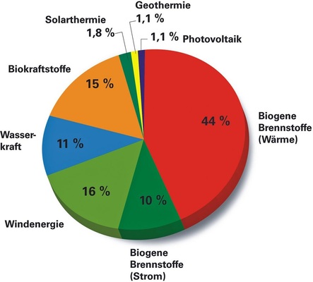 Biomasse stellt mit rund 70% den größten Teil der regenerativ ­erzeugten Energien
