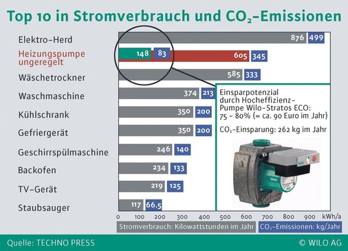 Überdimensionierte und ungeregelte Heizungspumpen sind in vielen Altanlagen große Stromfresser