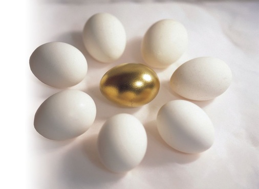 Entwickeln Sie sich zum „goldenen Ei“ in Ihrer Region — durch Alleinstellungsmerkmale und Mehrwerte