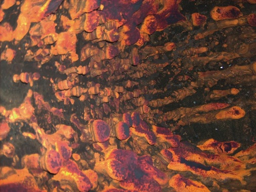 Bild 1 Ablagerungen im Trinkwassererwärmer sind Brutstätten für Legionellen