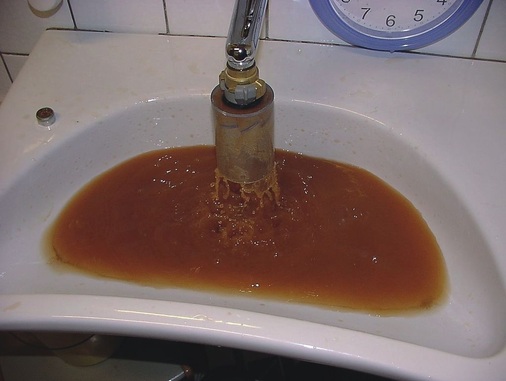 Starke Trübung des Spülwassers — hier zeigt sich: Reinigen ist die Basis jeder Hygiene