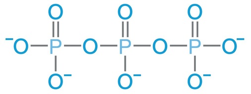 Bild 3 Aufbau von tri-Phosphat (allgemein Polyphosphat)
