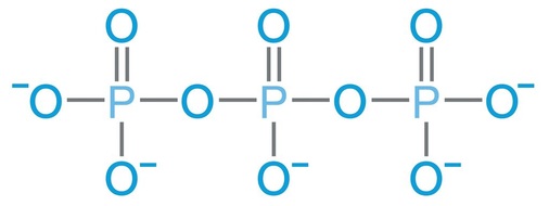 Bild 3 Aufbau von tri-Phosphat (allgemein Polyphosphat)