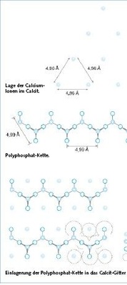 Bild 4 Schematische Darstellung des Threshold-Effektes der Polyphosphate nach [8]. Im Calcit-Kristall betragen die Ca-Ca-­Abstände 4,96 Angström. Das kettenförmige Molekül des Polyphosphats kann sich an den Gitterebenen des Calcits anlagern, da im Polyphosphat-Molekül der Abstand der Sauerstoff-Atome zueinander 4,99 Angström beträgt