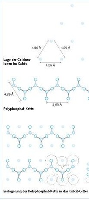 Bild 4 Schematische Darstellung des Threshold-Effektes der Polyphosphate nach [8]. Im Calcit-Kristall betragen die Ca-Ca-­Abstände 4,96 Angström. Das kettenförmige Molekül des Polyphosphats kann sich an den Gitterebenen des Calcits anlagern, da im Polyphosphat-Molekül der Abstand der Sauerstoff-Atome zueinander 4,99 Angström beträgt
