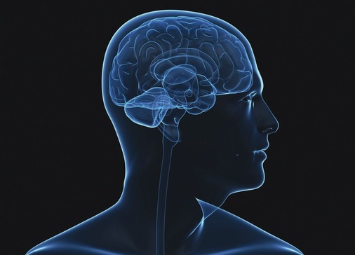 Beim Kampf um die besten Köpfe hat das Handwerk ­einen schweren Stand. Notwendig sind deshalb systematisches Vorgehen und außergewöhnliche Ideen.