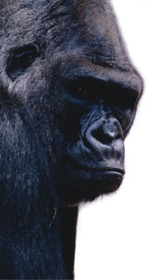 Es dauert keine 14 Tage, bis Mitarbeiter ihre Kunden genauso behandeln, wie sie von ihrem Chef behandelt werden, meint Sam Walton, Gründer von Wal-Mart.