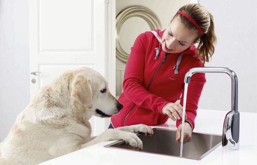 Hygiene ist in der Küche besonders wichtig. Die Zahl der meldepflichtigen Durchfallerkrankung mit dem Erreger des Typs Campylobacter lag 2011 bei 71307 Fällen. Berührungslos funktionierende Armaturen wie hier die Oras Electra verringern das Infektionsrisiko.