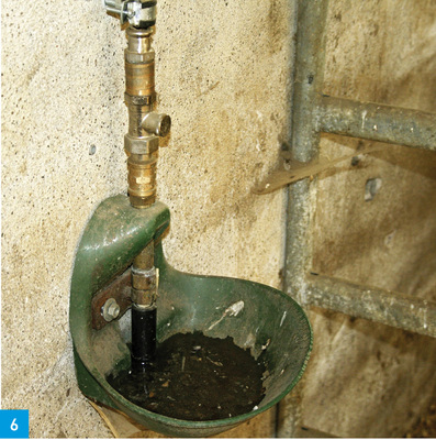 Offene Viehtränken können niemals als „freier Auslauf“ angesehen werden, da der Wasserauslass durch die Schnauze der Tiere verunreinigt werden kann. Aus diesem Becken würde niemand gerne trinken — warum sollte also aus der gleichen Leitung Trinkwasser zur Zubereitung von Lebensmitteln oder zur Körperreinigung entnommen werden?