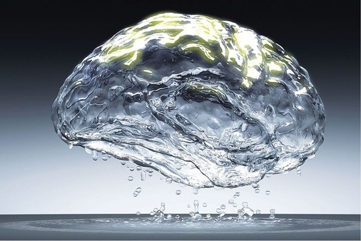 Wasser — unser Lebensmittel Nr. 1.