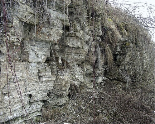 Gipsbruch am Ortsrand von Wurmlingen. Hier sei die Frage ­erlaubt, warum bei zutage tretenden Gipsschichten überhaupt eine Erdwärmesondenbohrung genehmigt wurde.