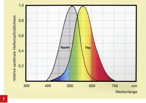 Dargestellt ist die relative spektrale Hellempfindlichkeit in Abhängigkeit der Wellenlänge, das heißt die unterschiedliche Gewichtung des Auges für verschiedene Wellenlängen. Einmal für die Zapfen (farbig), zuständig für das Tagsehen, und einmal für die Stäbchen (grau), die bei Nacht wirksam sind. - © FGL
