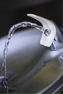 Gemäß TrinkwV muss Trinkwasser so beschaffen sein, dass durch seinen Genuss oder Gebrauch eine Schädigung der menschlichen Gesundheit, insbesondere durch Krankheitserreger, nicht zu besorgen ist. - © Jupiterimages/Stockbyte
