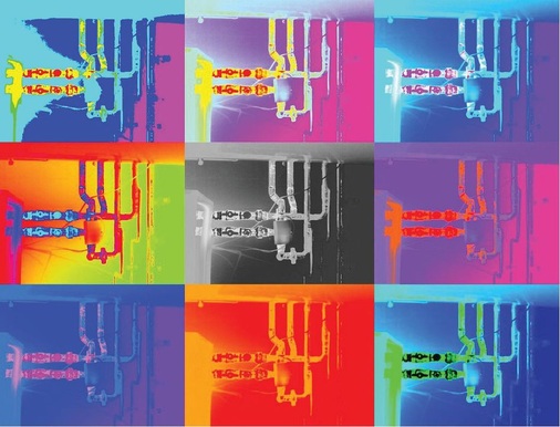 Thermogramme ­sehen nicht nur aus wie Pop-Art-­Gemälde — sie sind mittlerweile fast ebenso populär.