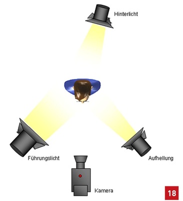 Ausleuchtungsprinzip einer Person im Film bzw. Fernsehen nach dem Prinzip der Dreipunktbeleuchtung mit Führungslicht, ­Aufhelllicht und Hinterlicht. - © Greule
