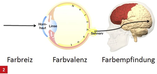 Zusammenwirken von Farbreiz, Farbvalenz und Farbempfindung.