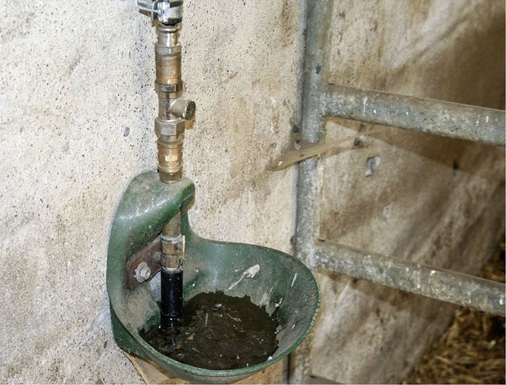 Auch in landwirtschaftlichen Betrieben ist die Gefährdung durch Flüssigkeiten der Kategorie 5 präsent, zum Beispiel durch Viehtränken. Das mit Tierspeichel und Futterresten vermischte Wasser muss unbedingt vom Trinkwasser getrennt werden.