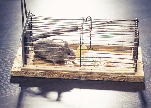 
Wer mit dem Versorger einen Vertrag zur Wärmelieferung eingegangen ist, kommt oft erst nach zehn bis 15 Jahren wieder heraus.



